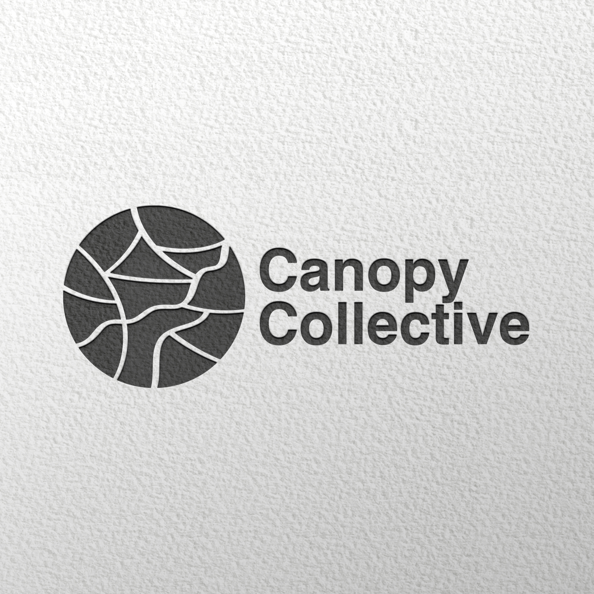 Canopy Collective - Logo Typography Layout
