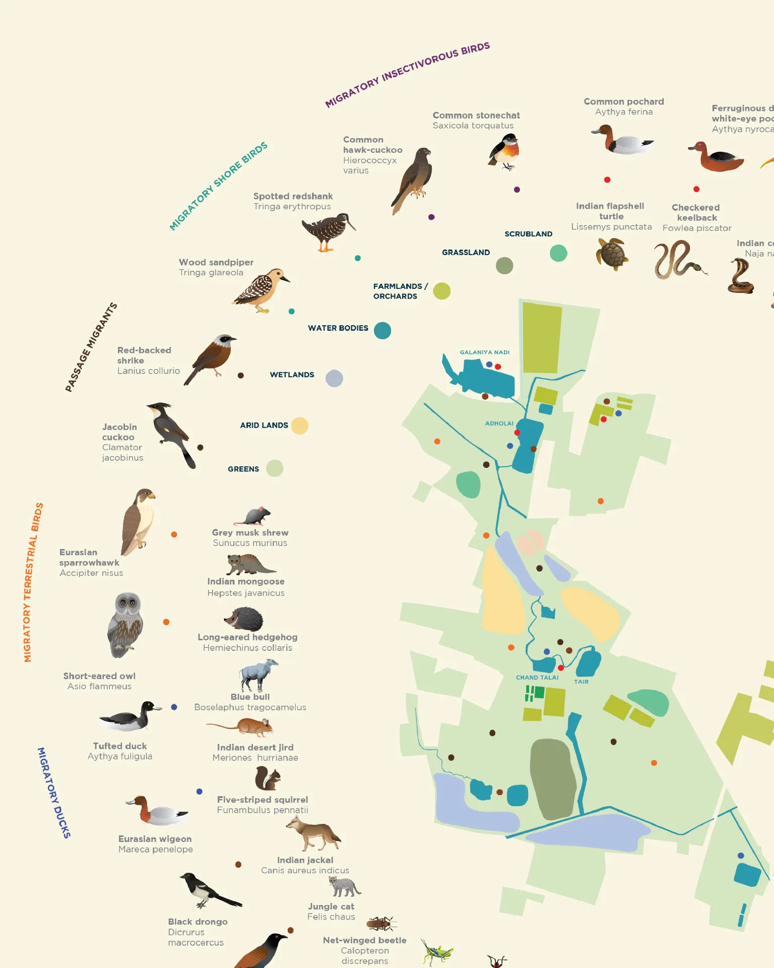 DHUN - Detailed biodiversity assessment map with species classification