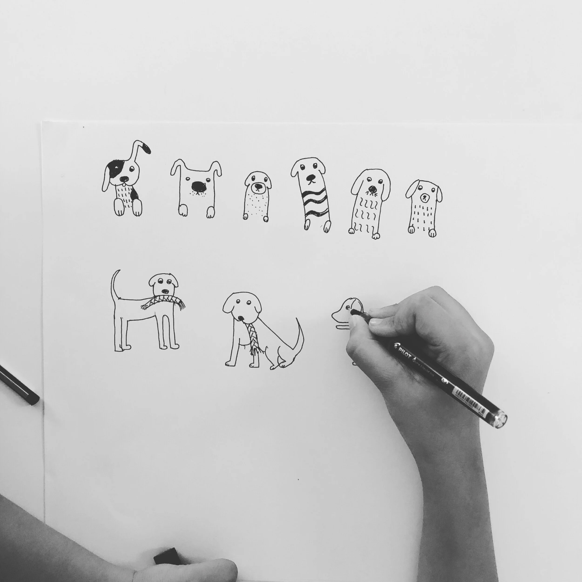 MAW & PAW - Identity for a pet care brand