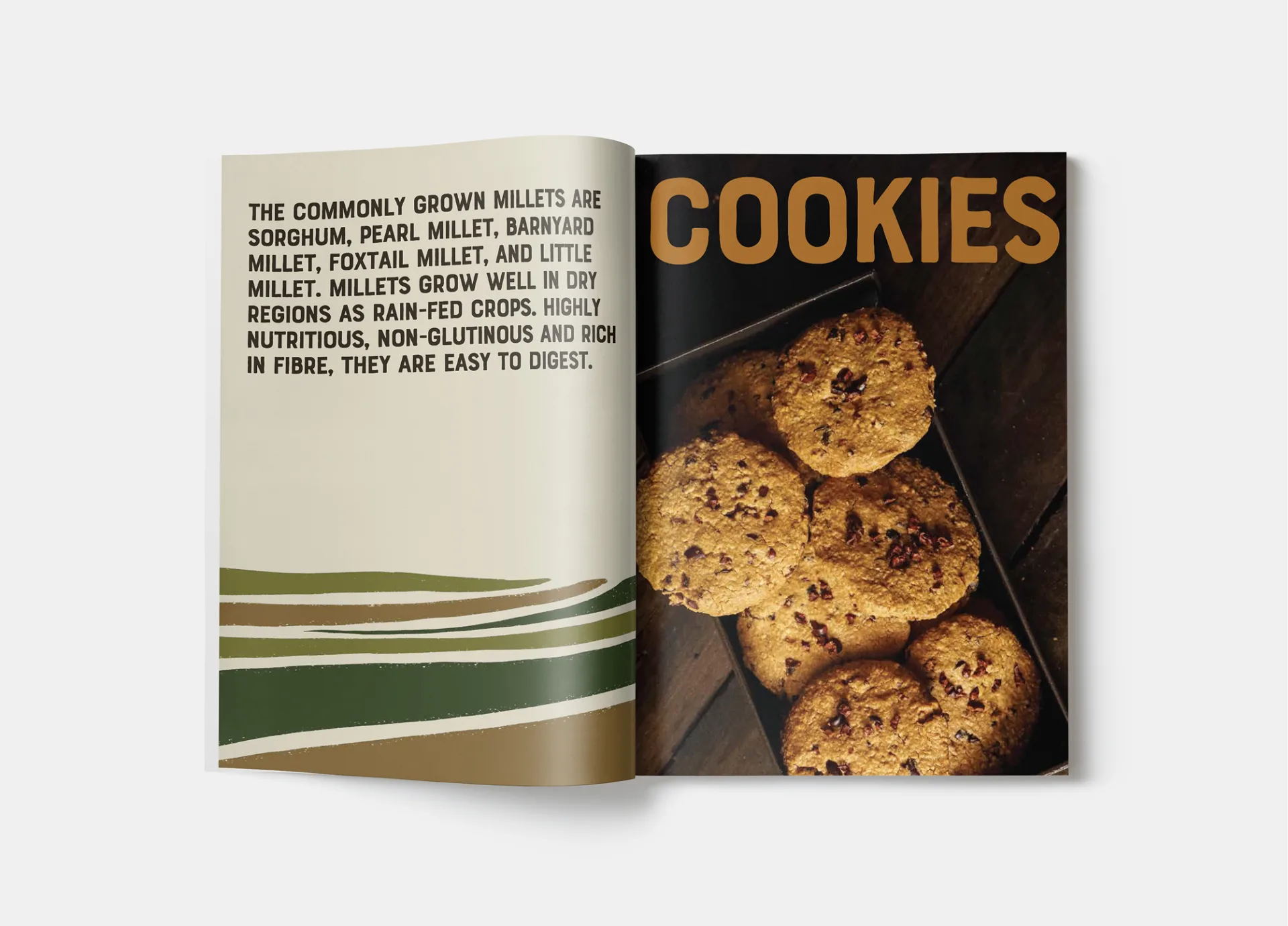 Millet Bank - Catalogue spread featuring cookies with information about millet grains and their benefits