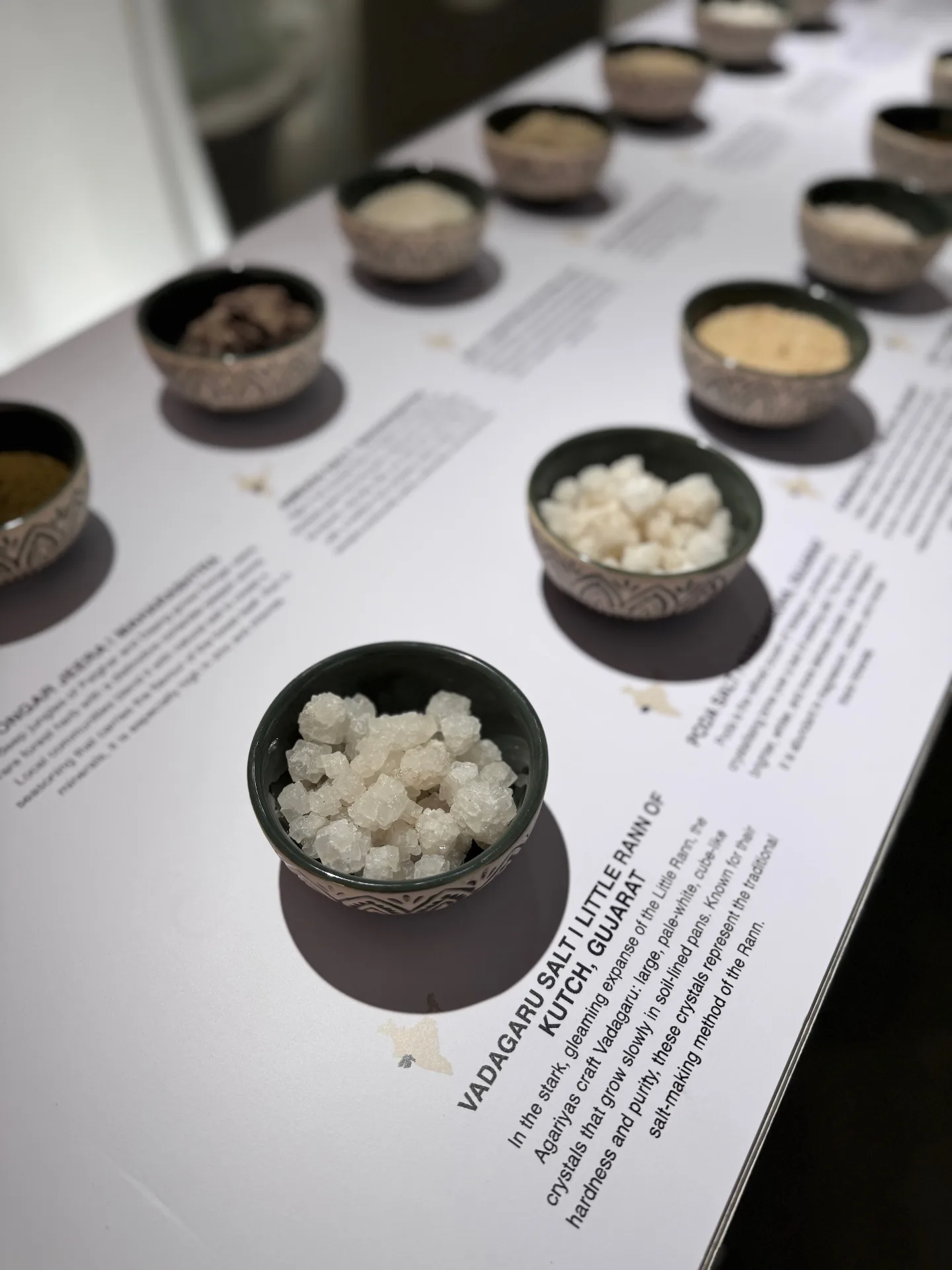 Salt at Serendipity Arts Festival 11