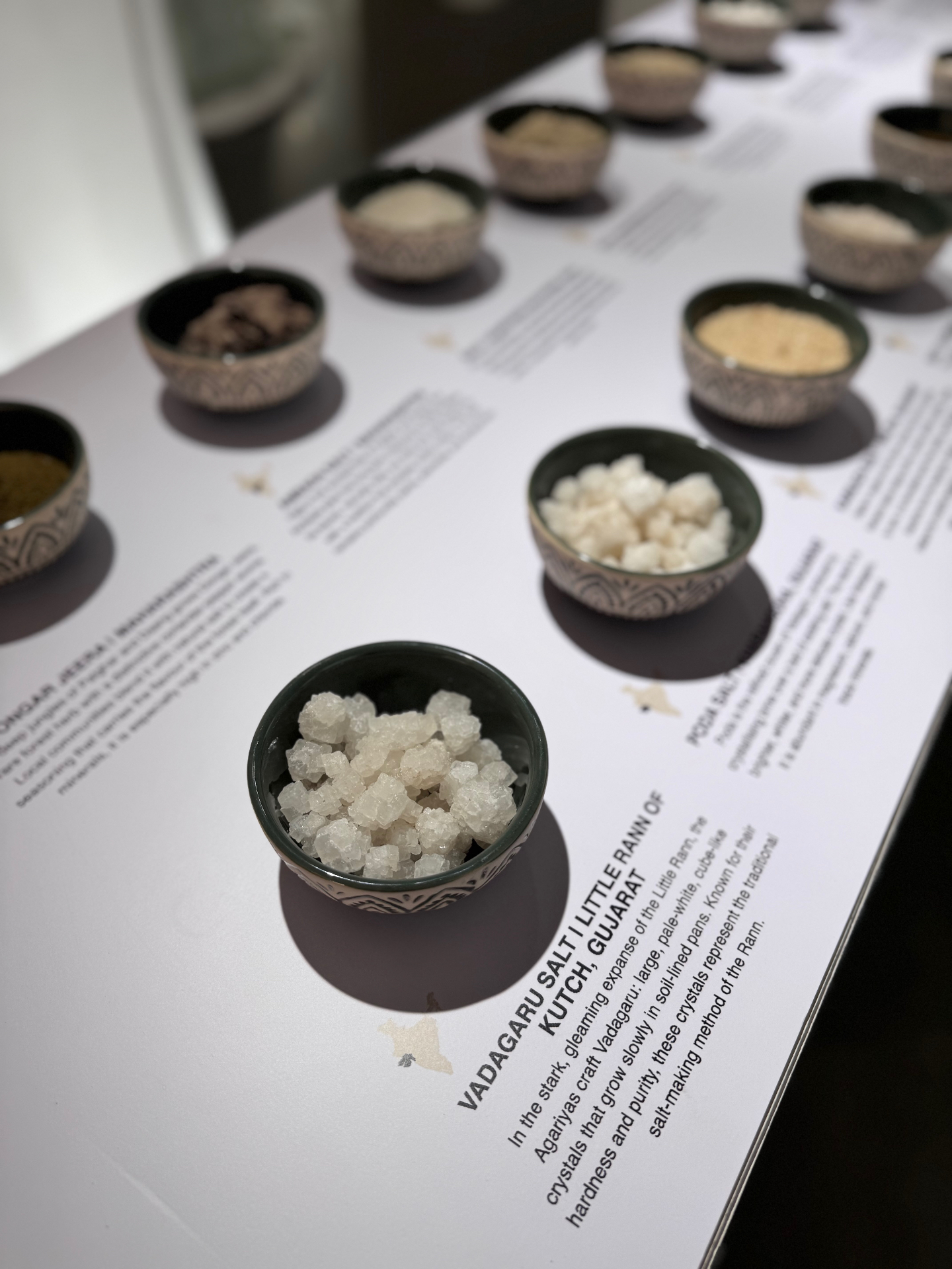 Salt at Serendipity Arts Festival 11