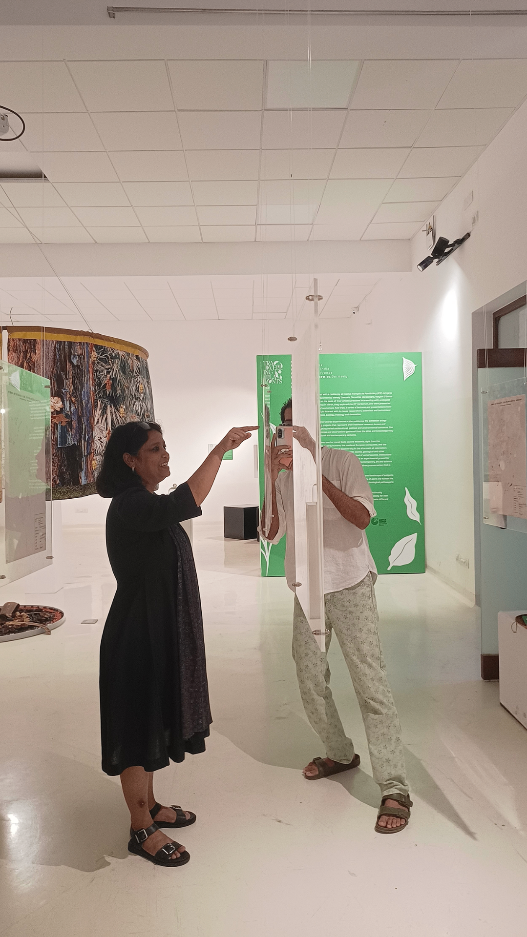 Visitors engaging with interactive exhibition displays and green informational panels in the Travelling Plants gallery space