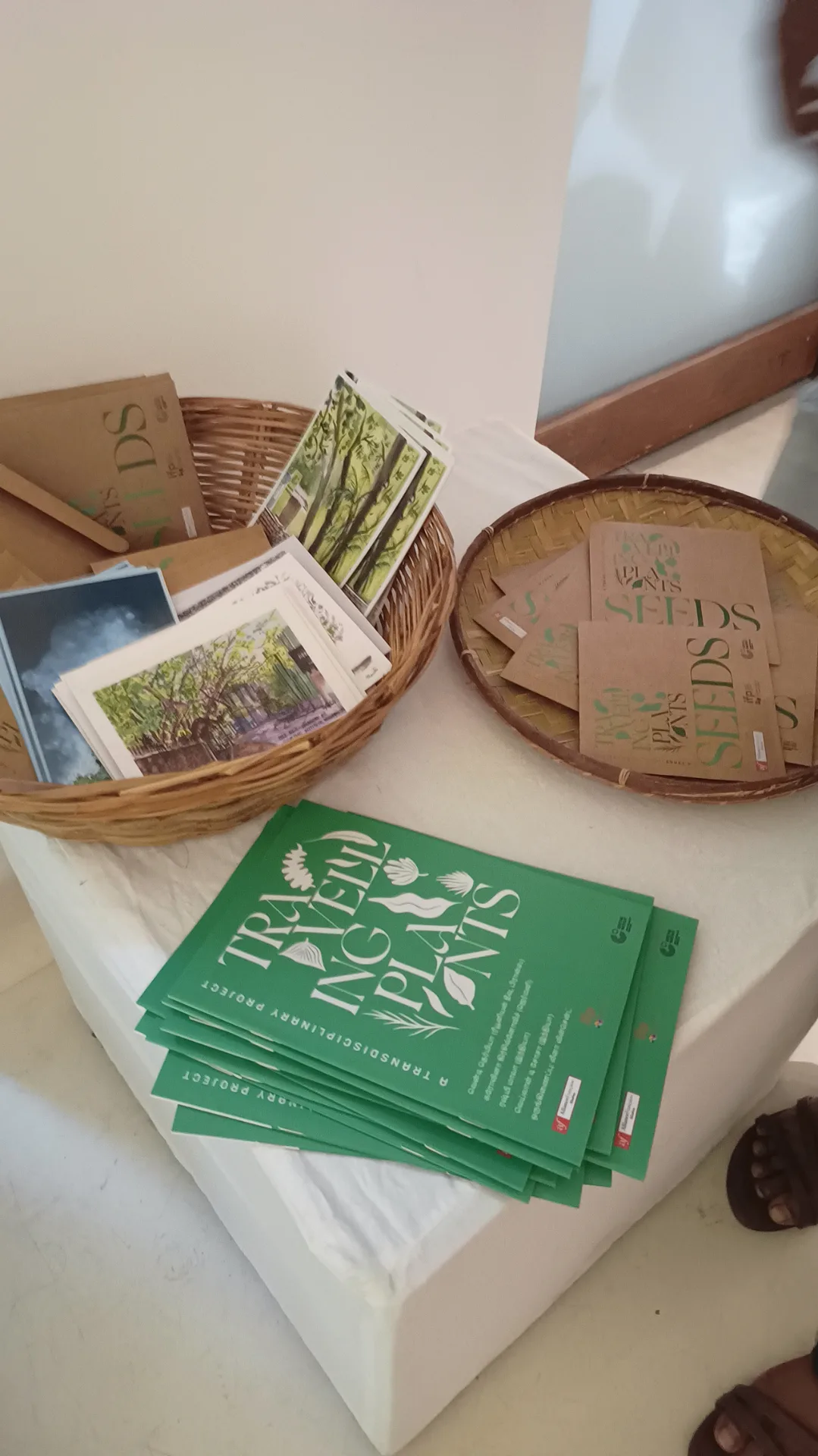Collection of promotional materials including brochures, baskets and green publication spreads for the Travelling Plants project