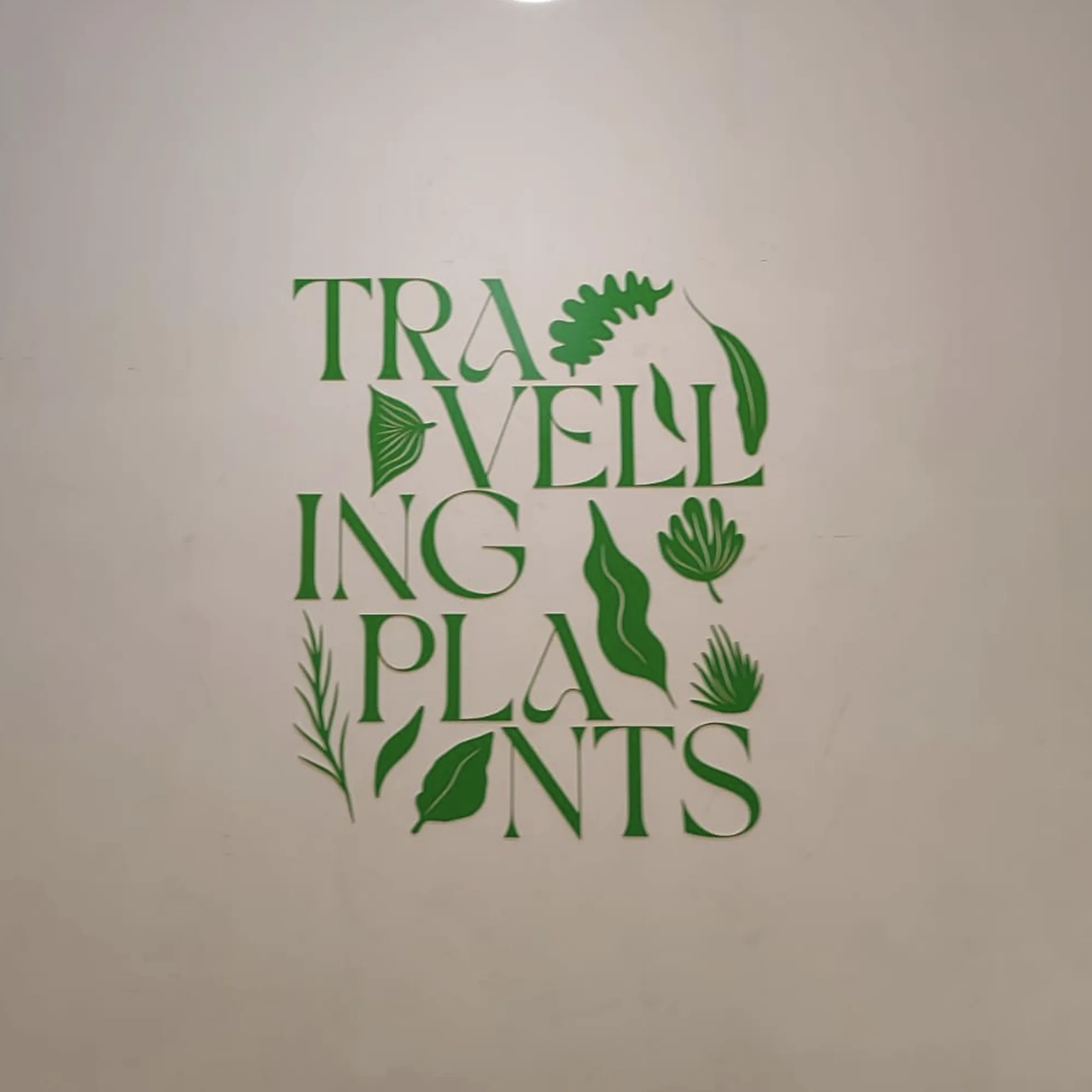 Travelling Plants typography wall display featuring green botanical letterforms and eco-friendly branding design